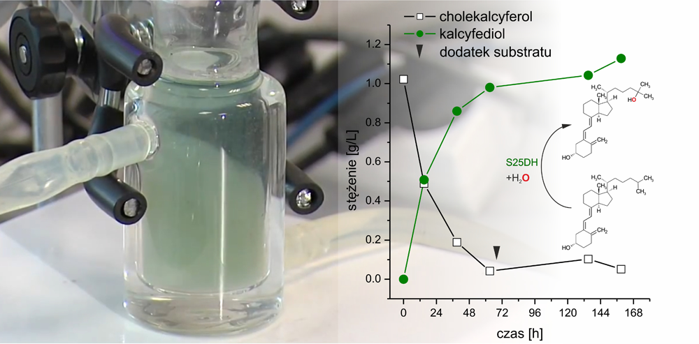  Hydroxylation of vitamin D3 to calcifediol in a laboratory reactor